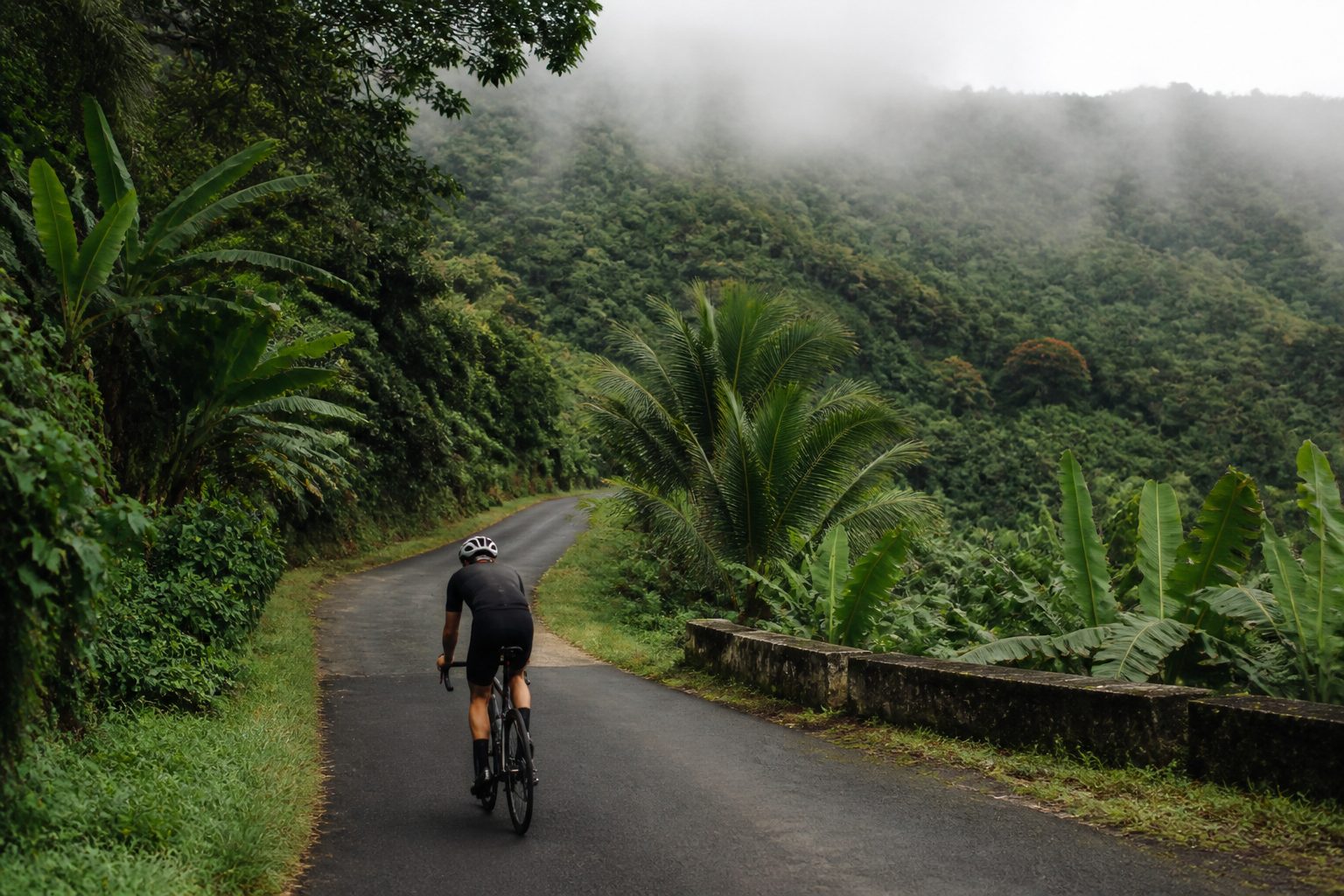 Cyclotourisme Guadeloupe Basse-Terre : routes de montagne et forêt tropicale