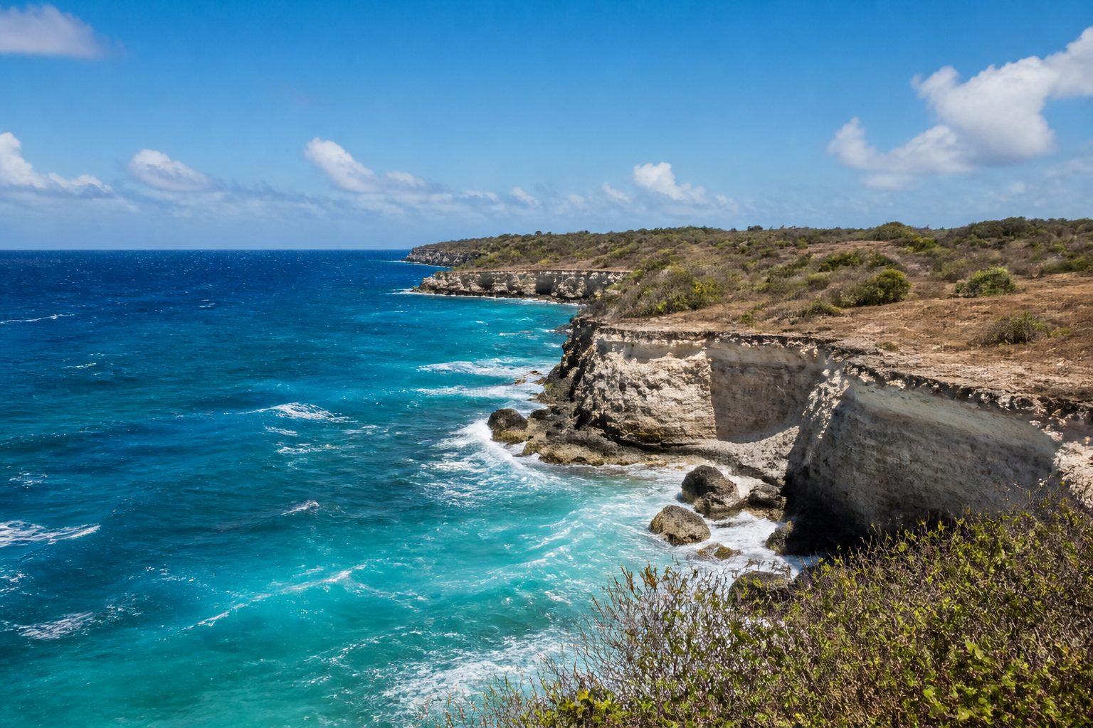 Falaises calcaires de la Pointe des Châteaux, côté Atlantique, Guadeloupe