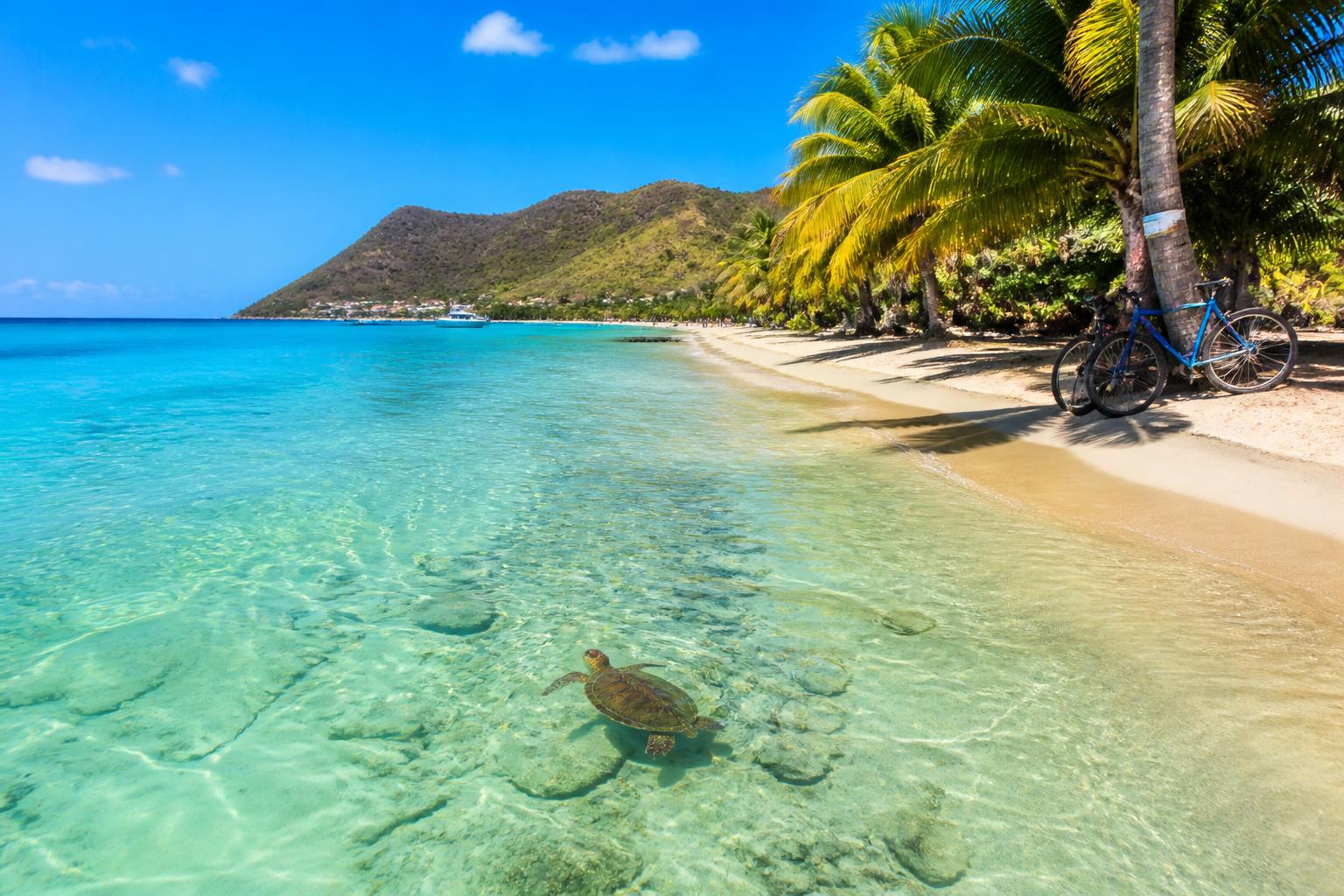 plage grande anse arlet tortues marines martinique vélos posés palmier
