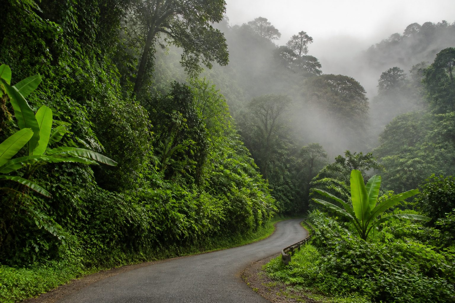 Itinéraires vélo Basse-Terre Guadeloupe : col de la Traversée