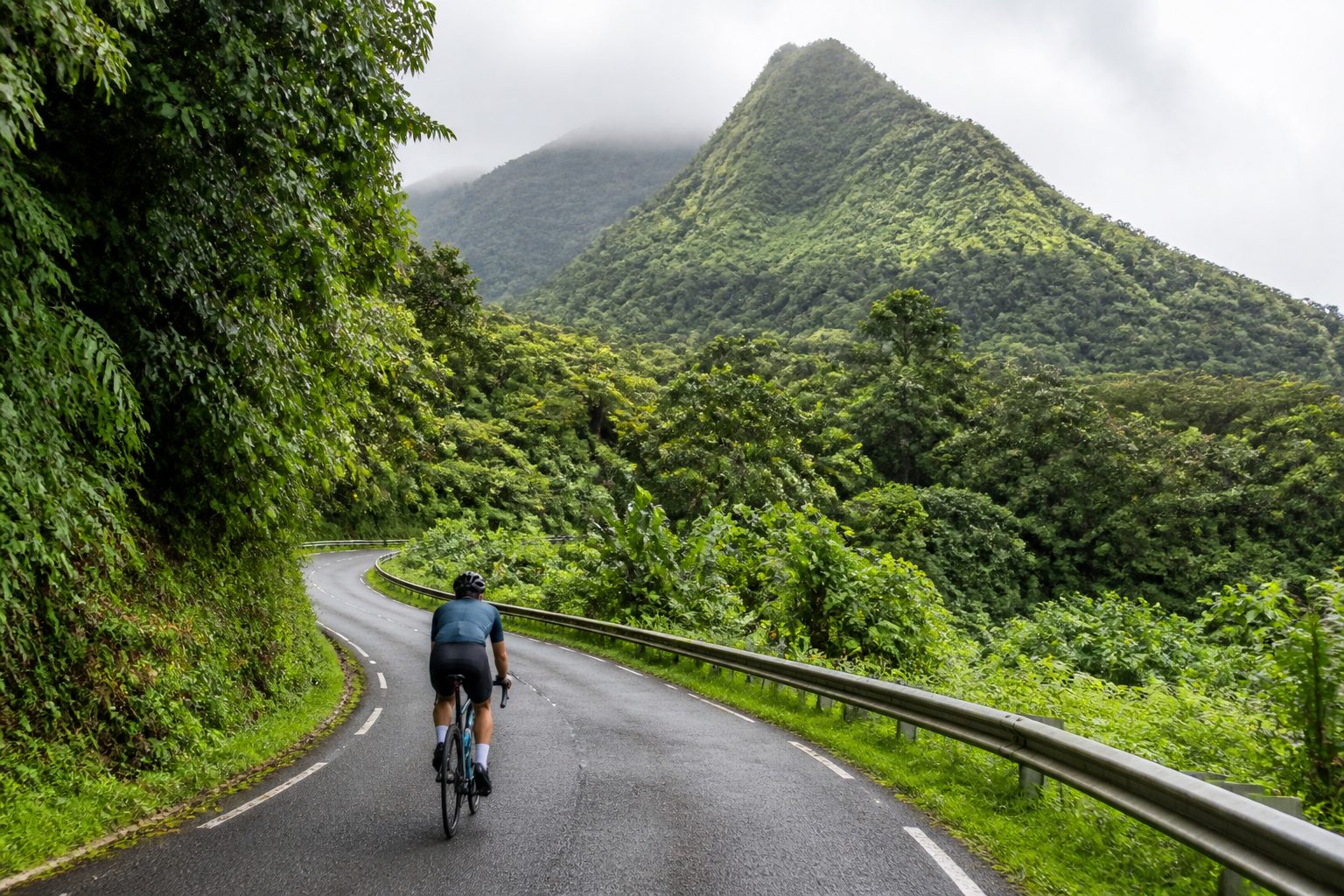 Cycliste sur une route sinueuse dans la forêt tropicale du nord de la Martinique